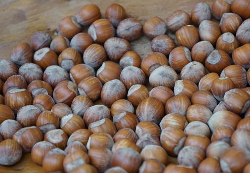 Langhe Hazelnuts, Piedmont - Italy