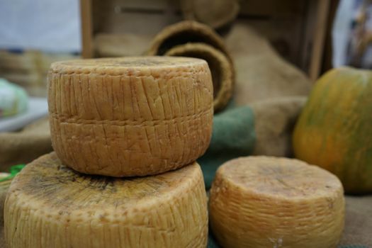 Forms of artisan cheese