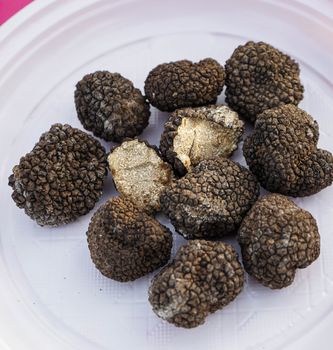Black truffles of Alba, Piedmont - Italy