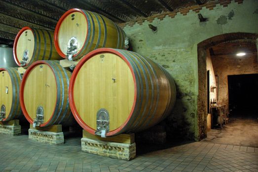 Wine cellar with Barolo wine