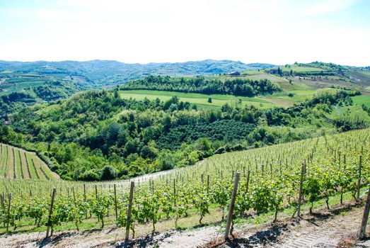 View of Langhe hills near Alba