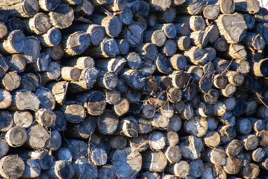 Stacks of firewood logs