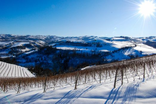 View of Langhe hills with snow near Serralunga d'Alba, Piedmont - Italy