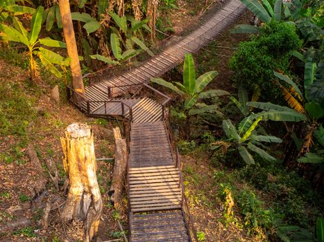 The ladder is upward. The upper is upward in nature. The road to the fores