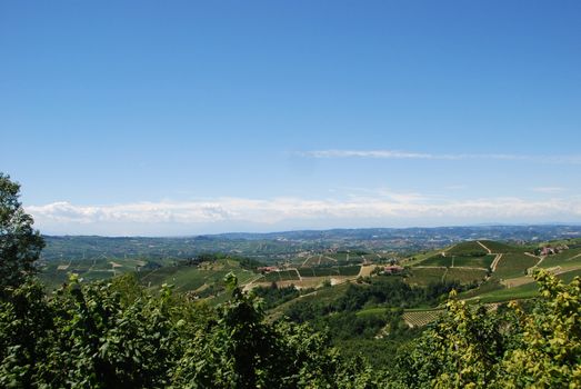 Langa hills around Albaretto Torre, Piedmont - Italy