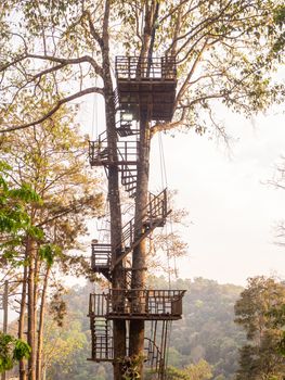 The Staircase near a tree in a large garden.