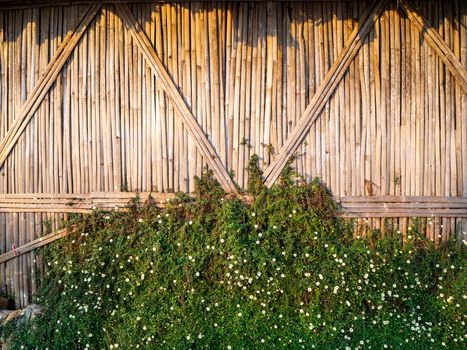 The Beautiful and natural bamboo fence or wall background