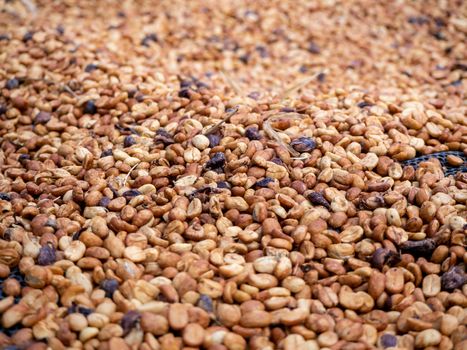 The Sun bath soft Roasted coffee beans background