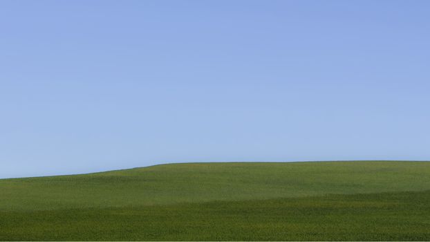 Minimalist image of a landscape with a green prairie horizon on a hill and a blue sky