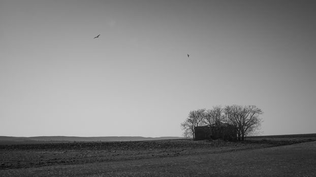 Minimalist black and white image of an isolated house in a plain with red kite and a raven flying over it