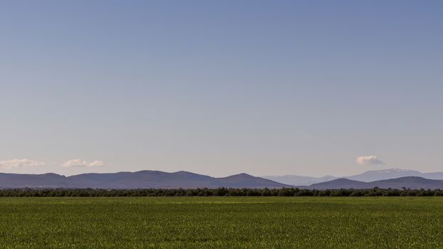 Green plain with mountains in the distance