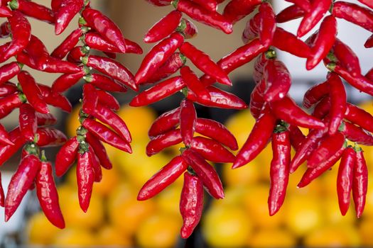 Close-up of chillies hanging in a marketplace on a background of yellow fruits