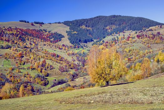 Autumn hill with colorful trees against blue sky.