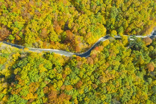 Aerial view of a trail crossing the autumn forest