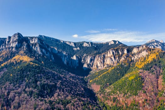 Drone view of a rocky mountain in the autumn, beautiful yellow larch forest, Ceahlau Mountain in Carpathians.