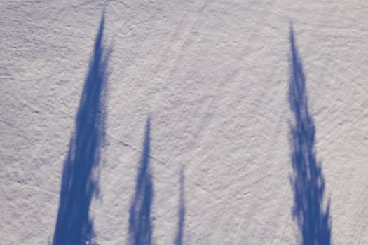 Tree shadows on white fresh snow, above view