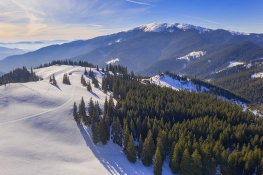 Green forest and snowy mountains at sunrise, aerial winter scene in Romanian Carpathians.