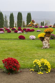 Colorful flowers in a summer garden on the hill.