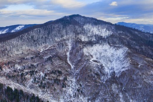 Drone view of the forest, winter landscape.