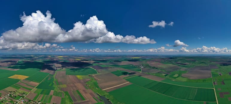 Aerial view of farmed fields in springtime, sunny day