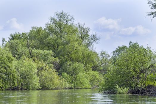 Boat trip on water canal in Danube Delta (Unesco Heritage), summer landscape in beautiful sunny day