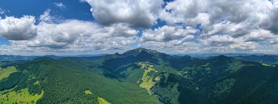 Fresh green forest trees and meadows, forest panorama with rocky mountain in background.