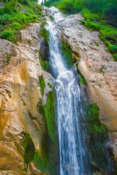 Summer water streeam on rocky wall, forest waterfall in Romanian Carpathians. Horses waterfall is the tallest in Romania.