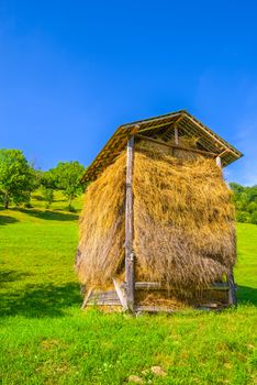 Stacked hay under a canopy, summer pasture landscape