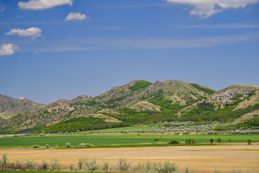 Summer scene of flat field and rocky hill, Macin mountains in Romania