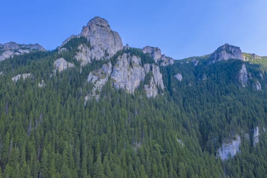 Green forest rocks, summer mountain scene