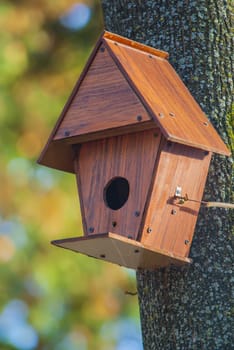 Wooden birds house in the tree, summer park scene