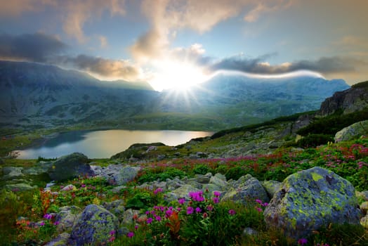 Summer mountain sunset scene, pasture flower and lake at sunset