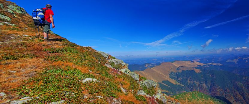 Man watching the colorful forest from the mountain, autumn scene