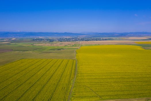 Aerial view of sunflower fields and rural summer landscape