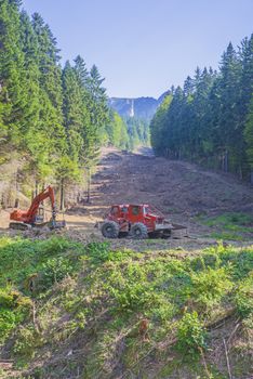 Forest cover destruction, working grader and excavator in summer forest