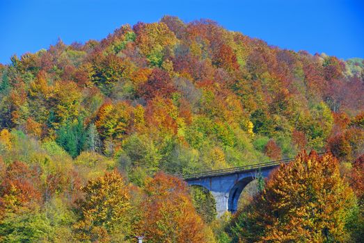 Bridge in beautiful autumn scene, colorful tree foliage