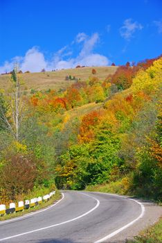 Autumn uphill road, colorful trees in a rural landscape