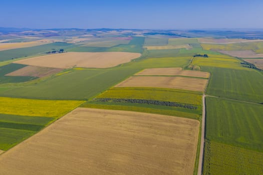 Sunflower and cereal fields, aerial view in summer