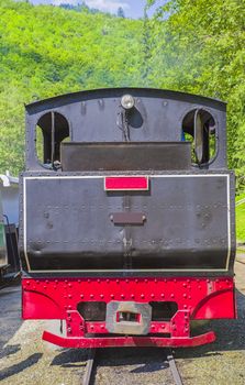 Aged black steam engine locomotive in forest.