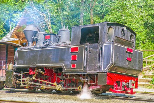 Aged steam engine locomotive in the forest