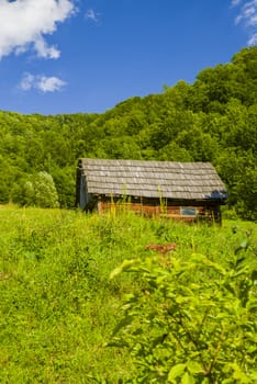 Wood hut on the green pasture, summer mountain scene