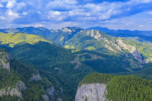 Green forest and rocky mountain in a summer landscape, aerial view