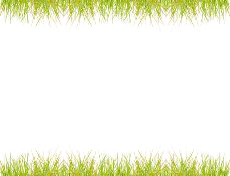 Isolated green grass bush frame over white