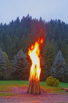 Camp fire wood near forest in the evening