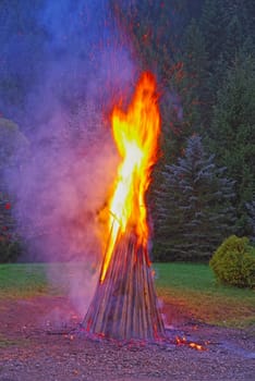 High birch camp fire near forest in the evening