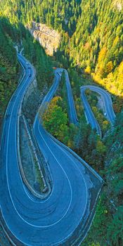 Wide angle serpentine road in green forest