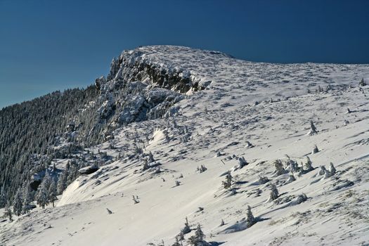 Snow covered mountain summit and trees in a sunny day in Romanian Carpathians