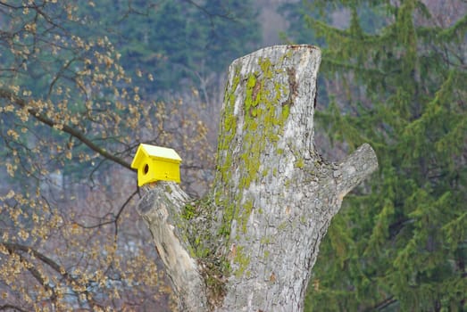 Wooden bird house on a trunk in the forest