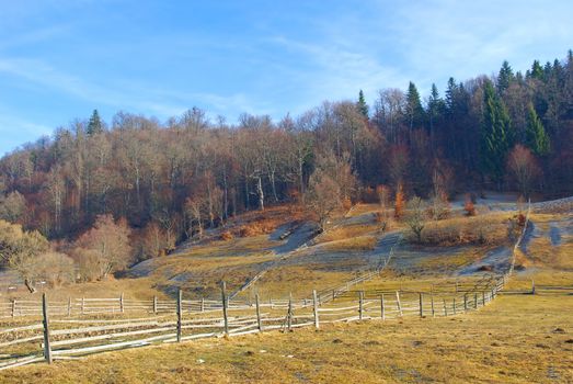 Late autumn landscape , wood fences on meadow near the forest