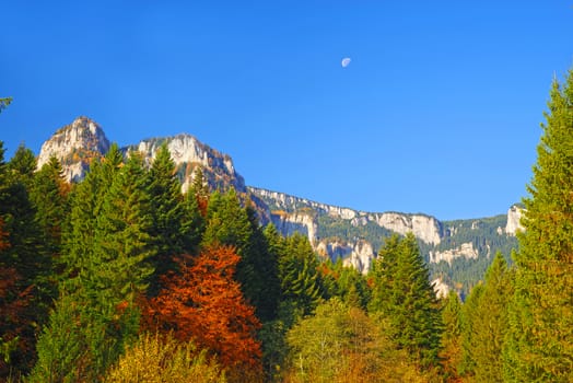 Autumn forest trees and rocky mountain creast.